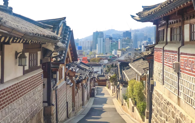 Seoul zombie city exploration game and private tour - Image 2